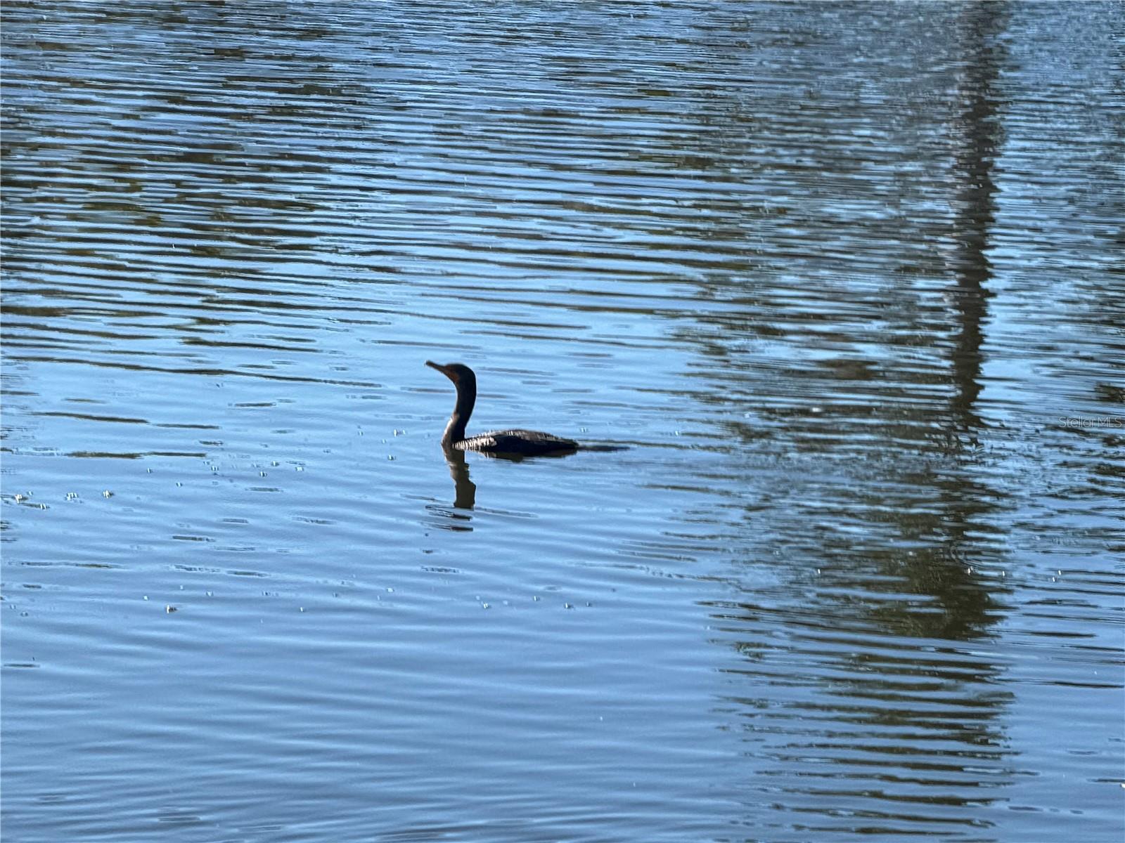 24 LARK DR, PLACIDA, FL, 33946