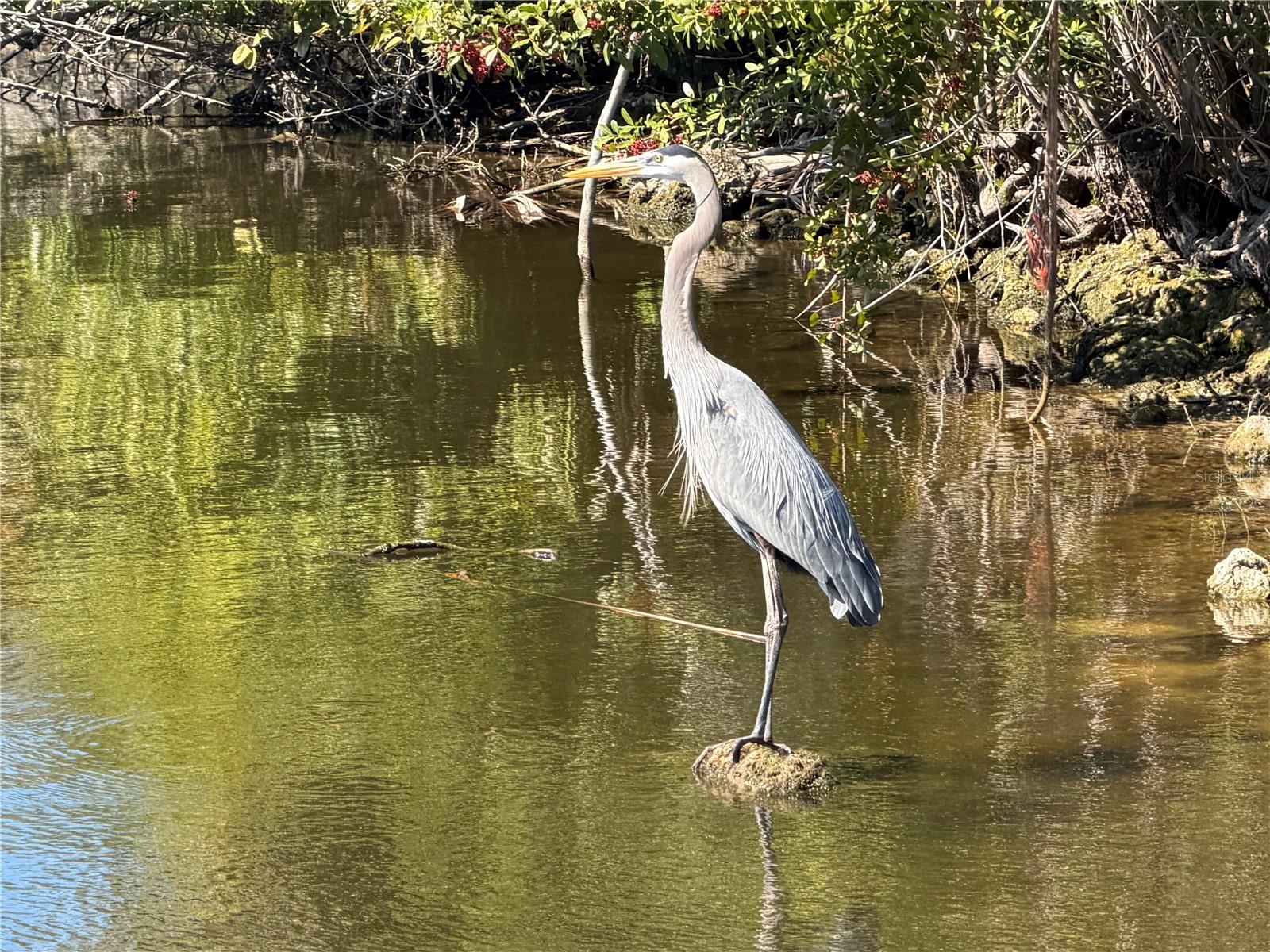 24 LARK DR, PLACIDA, FL, 33946