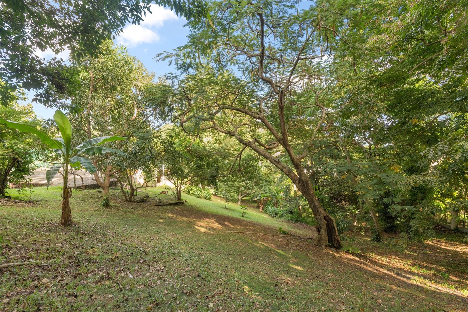 PR9118890 Property Photo