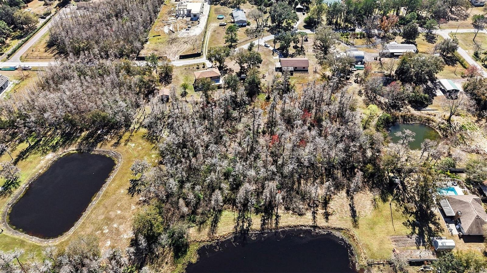 17511 EAGLE LN, LUTZ, FL, 33558