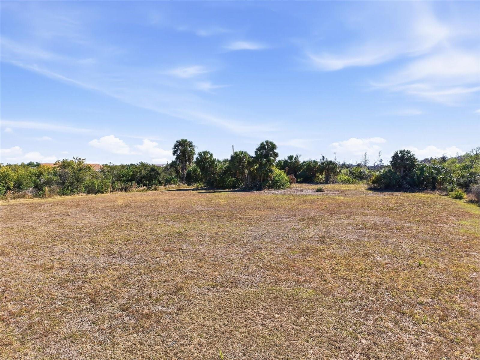 SMILODON TRL, RUSKIN, FL, 33570