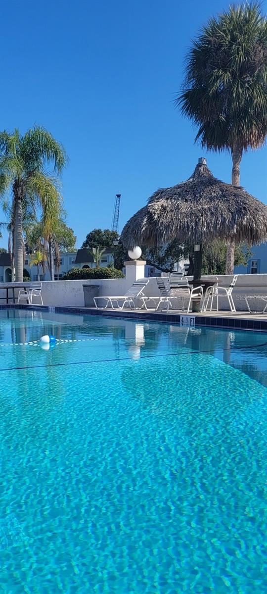 349 S MCMULLEN BOOTH RD #125, CLEARWATER, FL, 33759