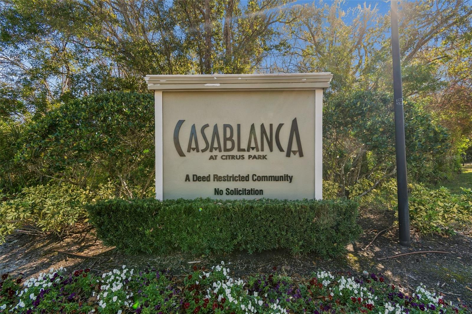 8809 CASABLANCA WAY, TAMPA, FL, 33626