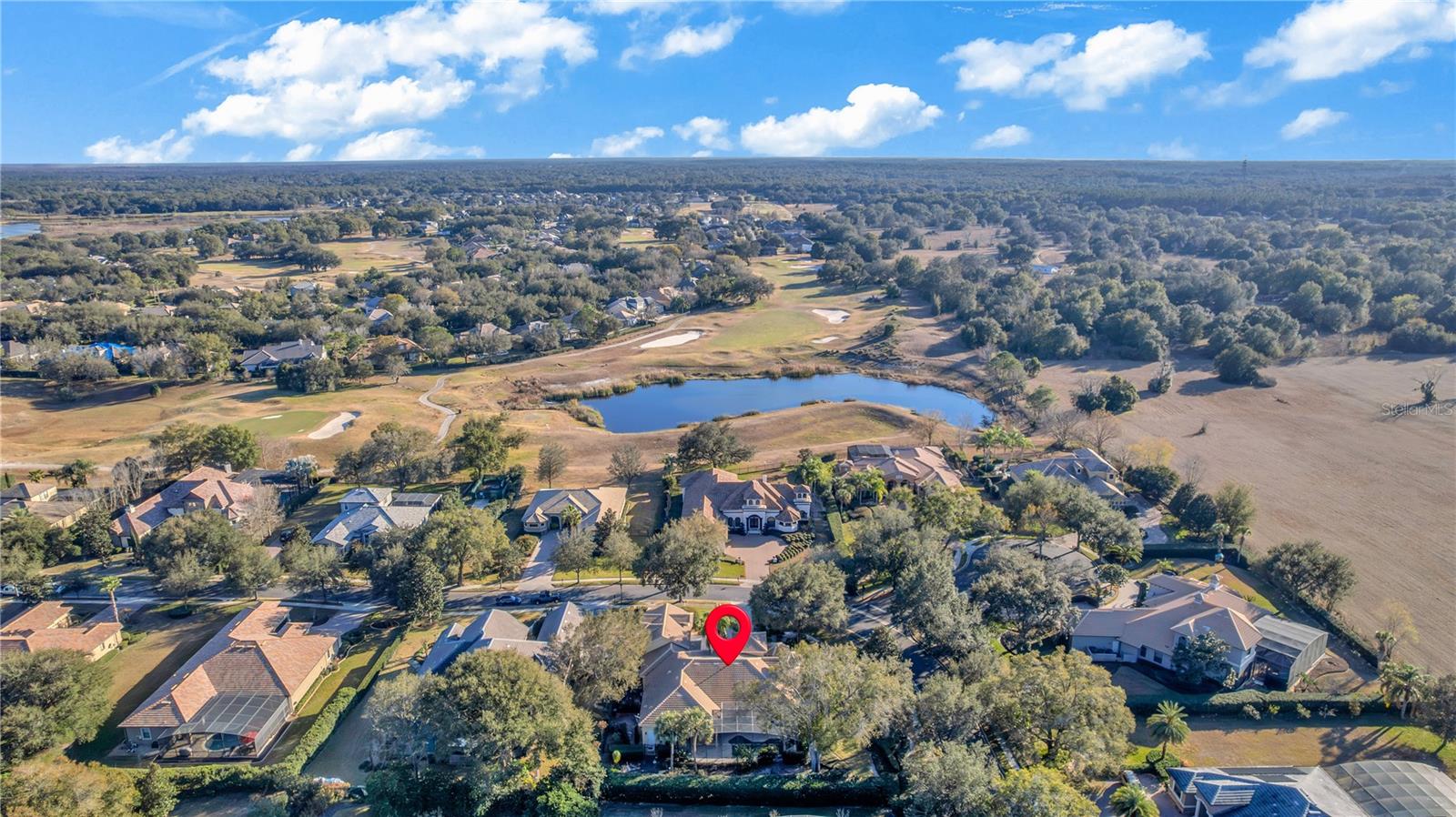 25514 HIGH HAMPTON CIR, SORRENTO, FL, 32776