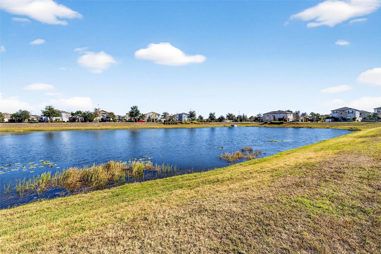 13134 MONACH ISLES DR, RIVERVIEW, FL, 33579