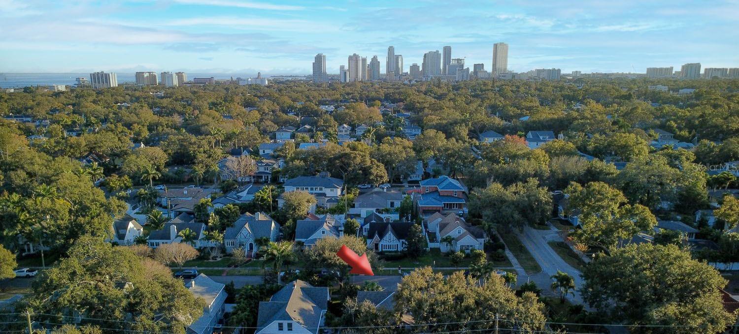 115 21ST AVE NE, ST PETERSBURG, FL, 33704