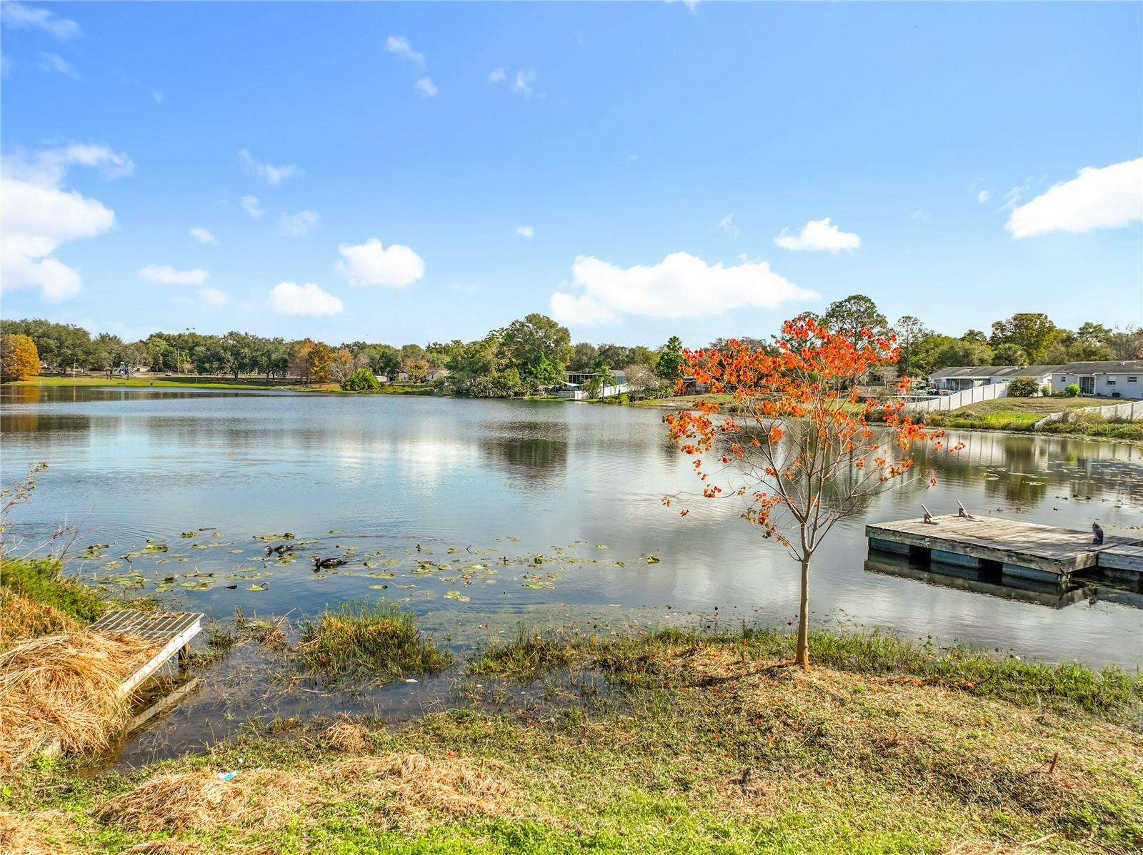 1236 RUSSELL DR, OCOEE, FL, 34761