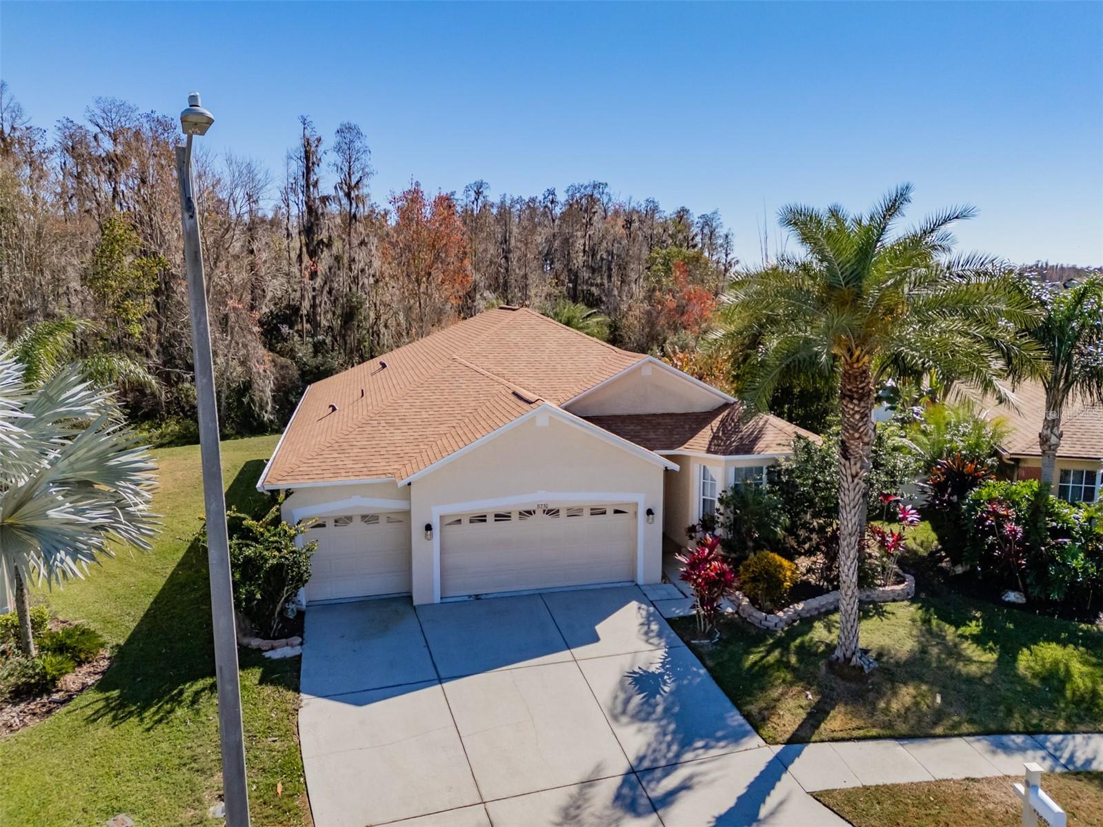 31230 ALCHESTER DR, WESLEY CHAPEL, FL, 33543