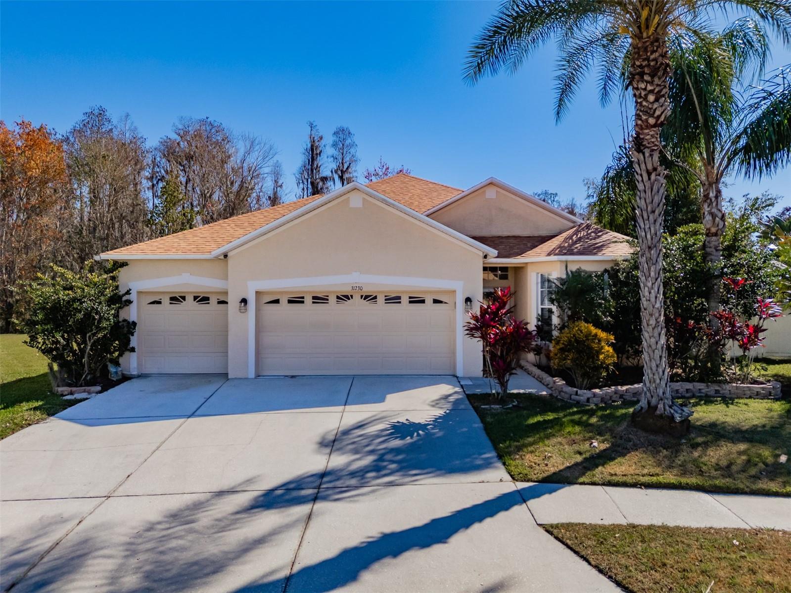 31230 ALCHESTER DR, WESLEY CHAPEL, FL, 33543