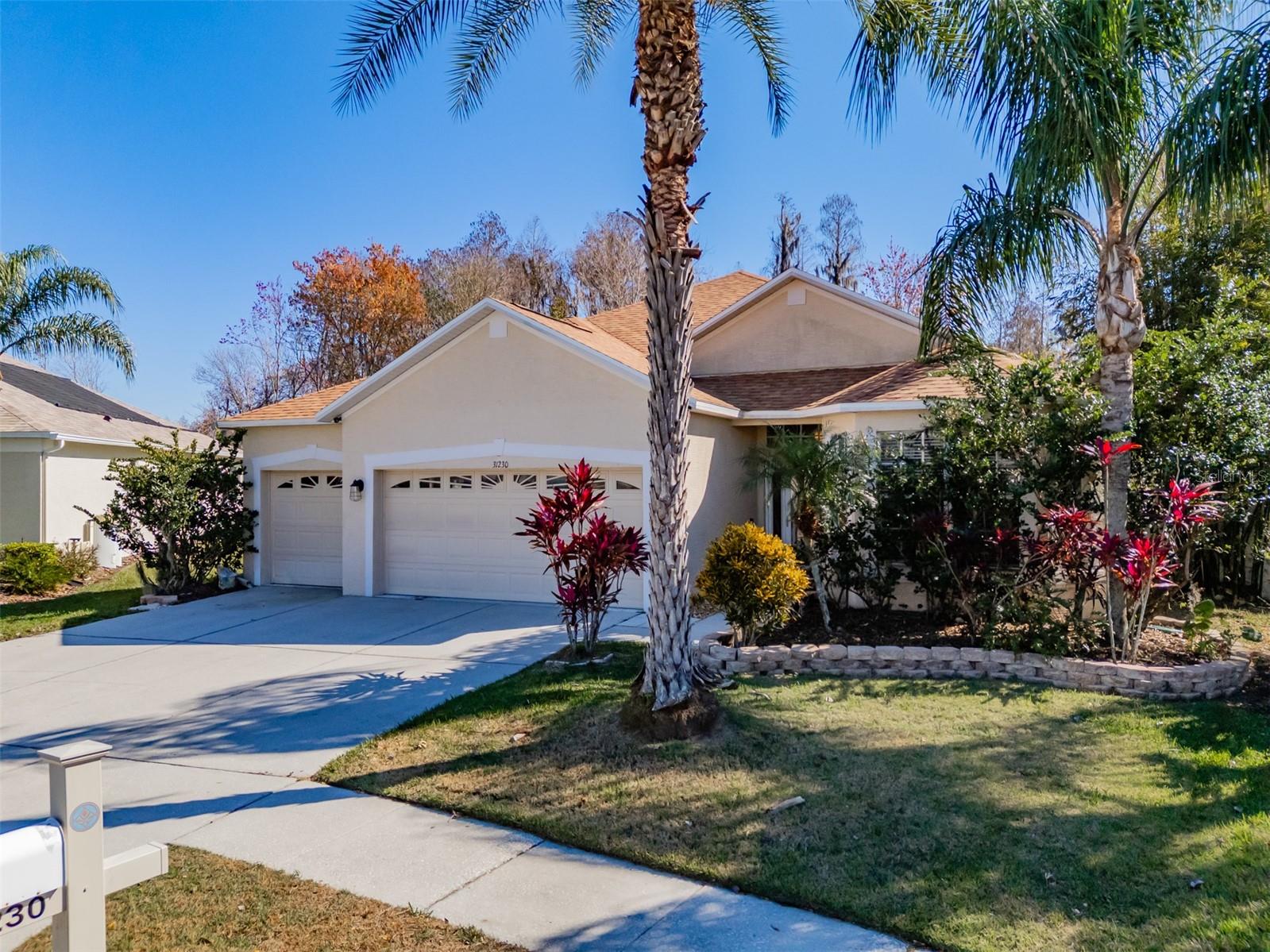 31230 ALCHESTER DR, WESLEY CHAPEL, FL, 33543