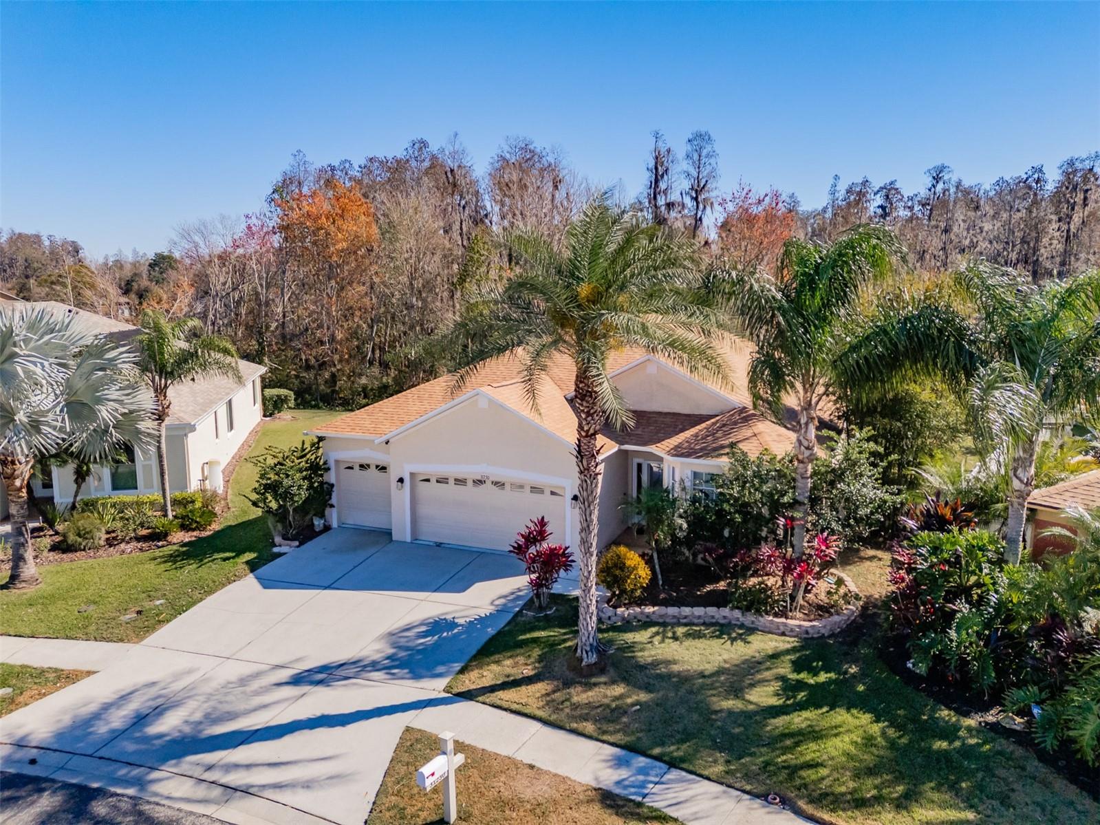 31230 ALCHESTER DR, WESLEY CHAPEL, FL, 33543