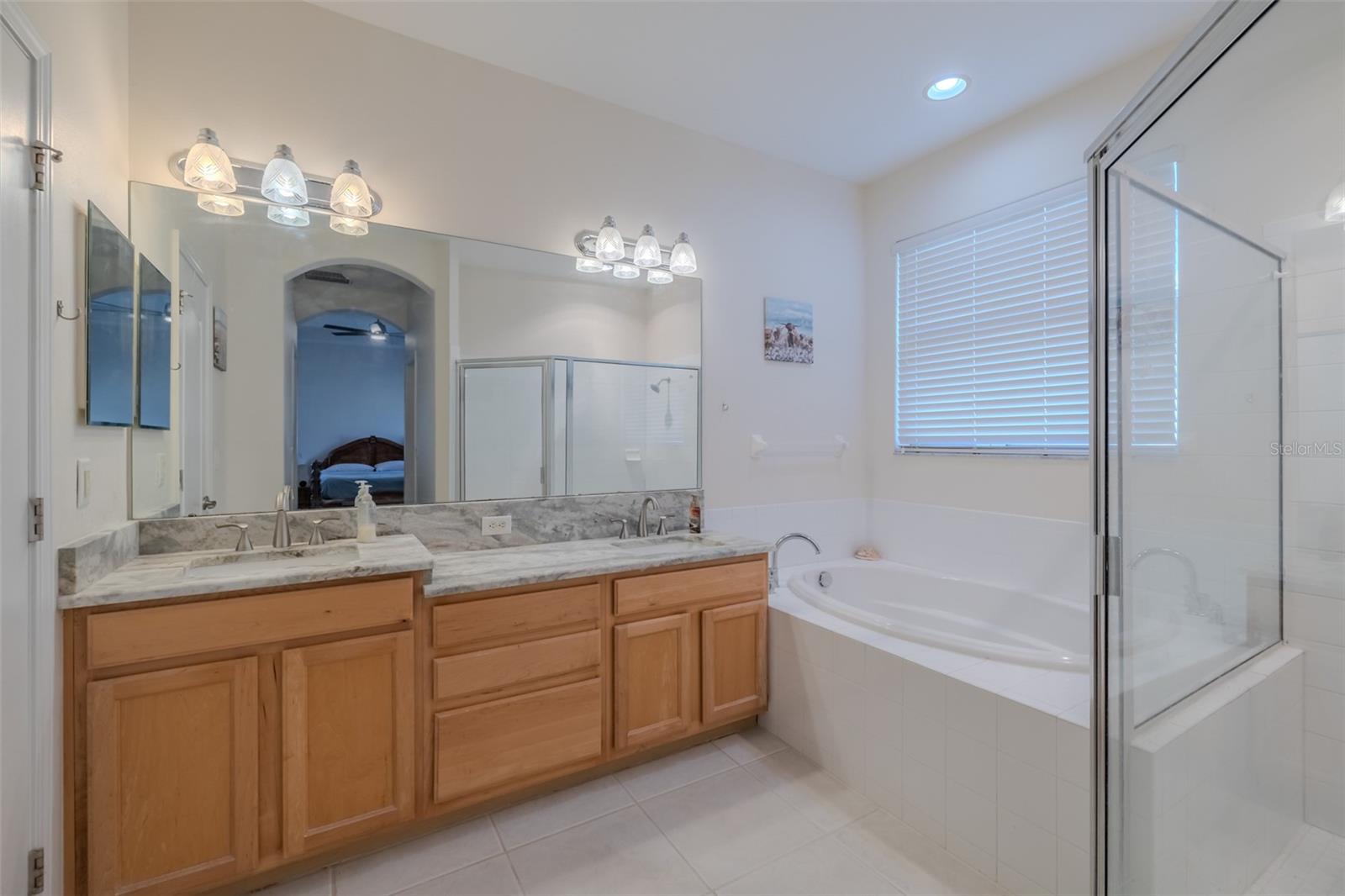 31230 ALCHESTER DR, WESLEY CHAPEL, FL, 33543