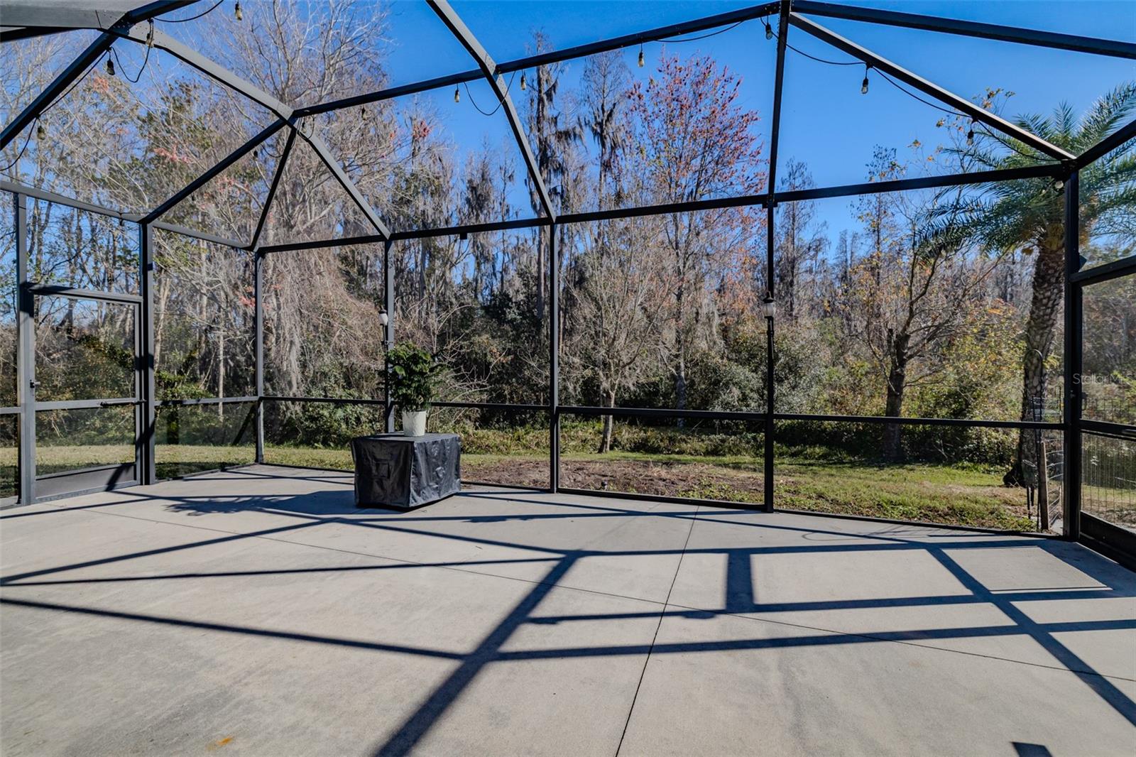 31230 ALCHESTER DR, WESLEY CHAPEL, FL, 33543