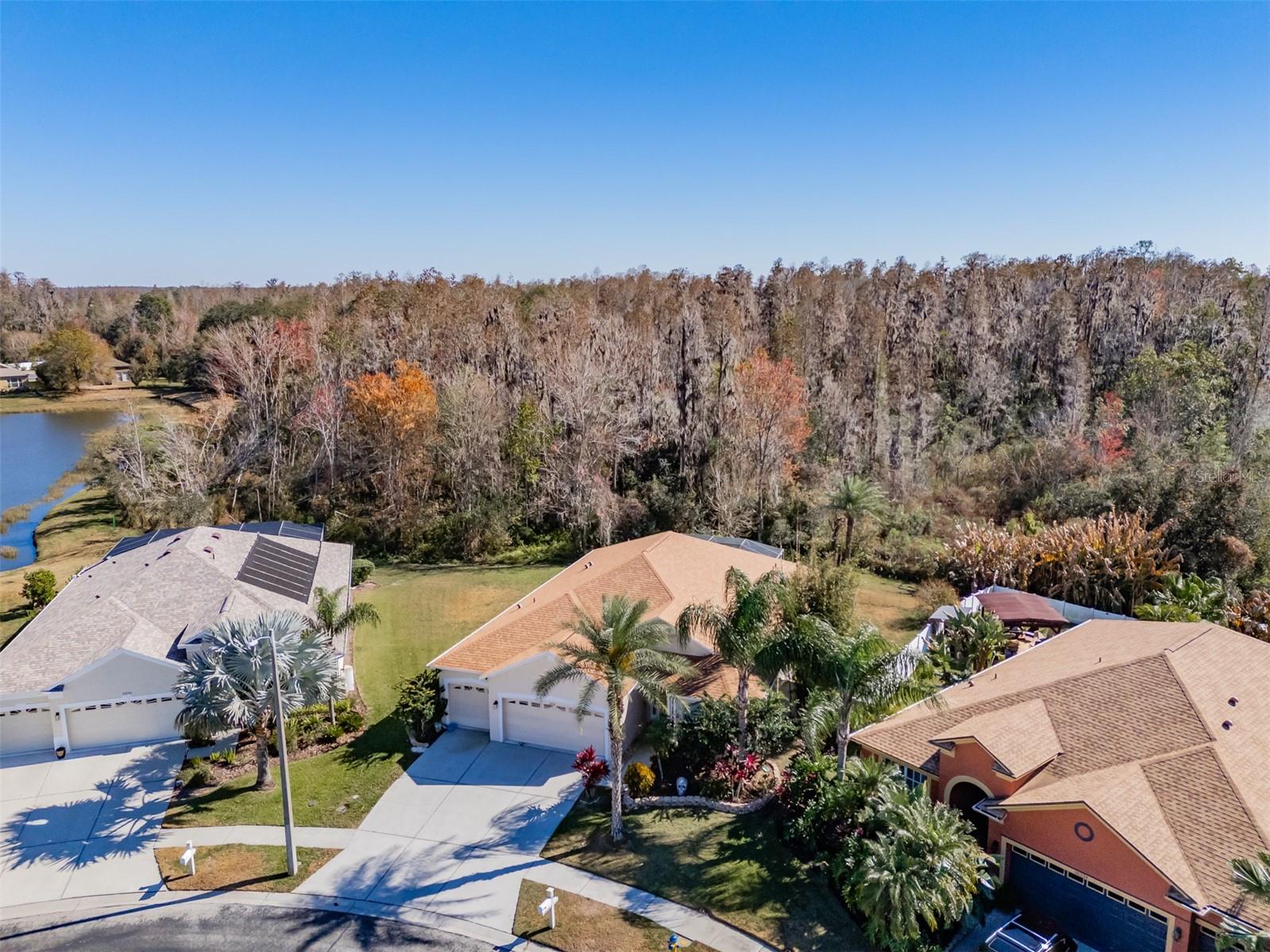 31230 ALCHESTER DR, WESLEY CHAPEL, FL, 33543