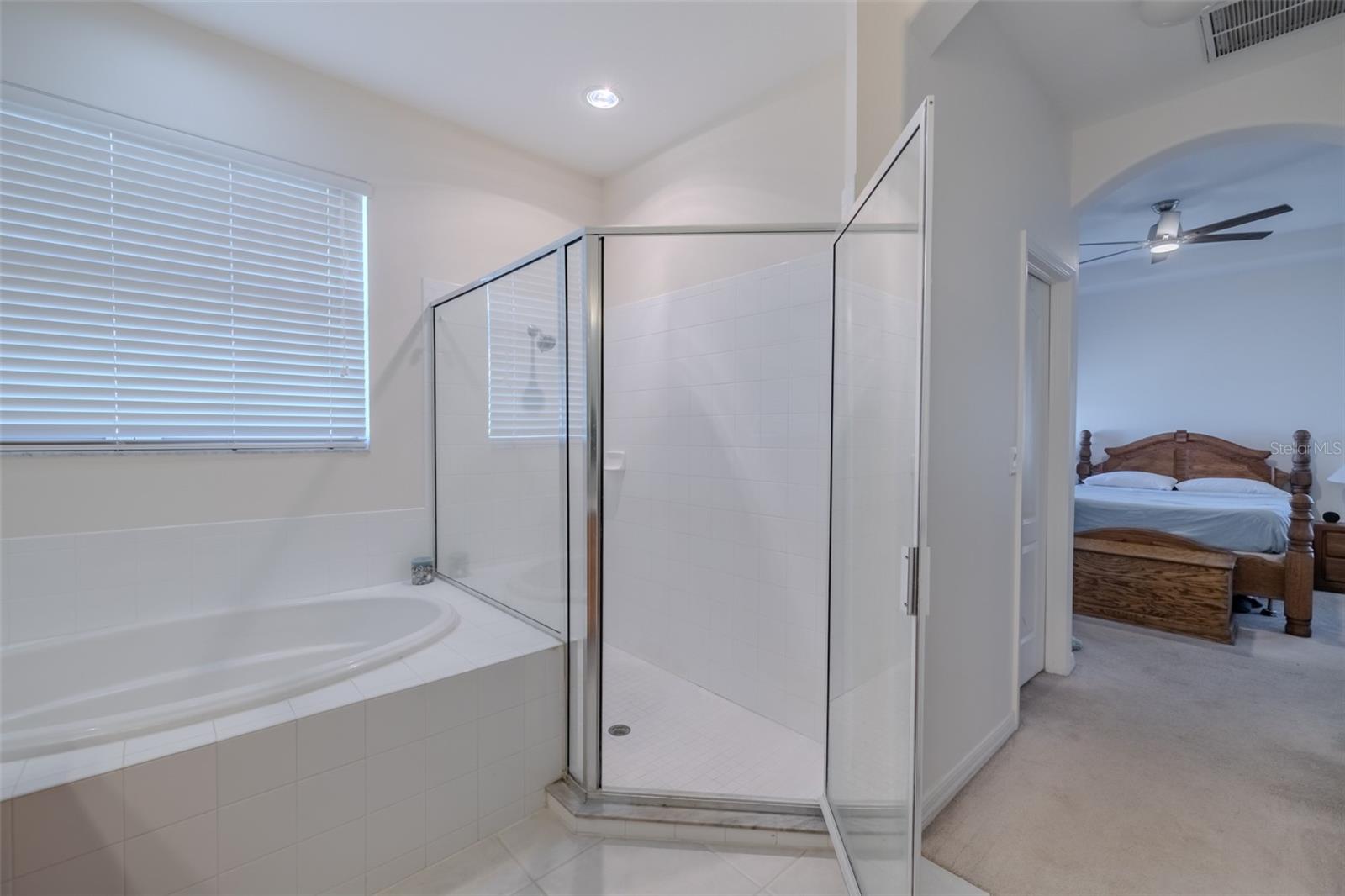 31230 ALCHESTER DR, WESLEY CHAPEL, FL, 33543