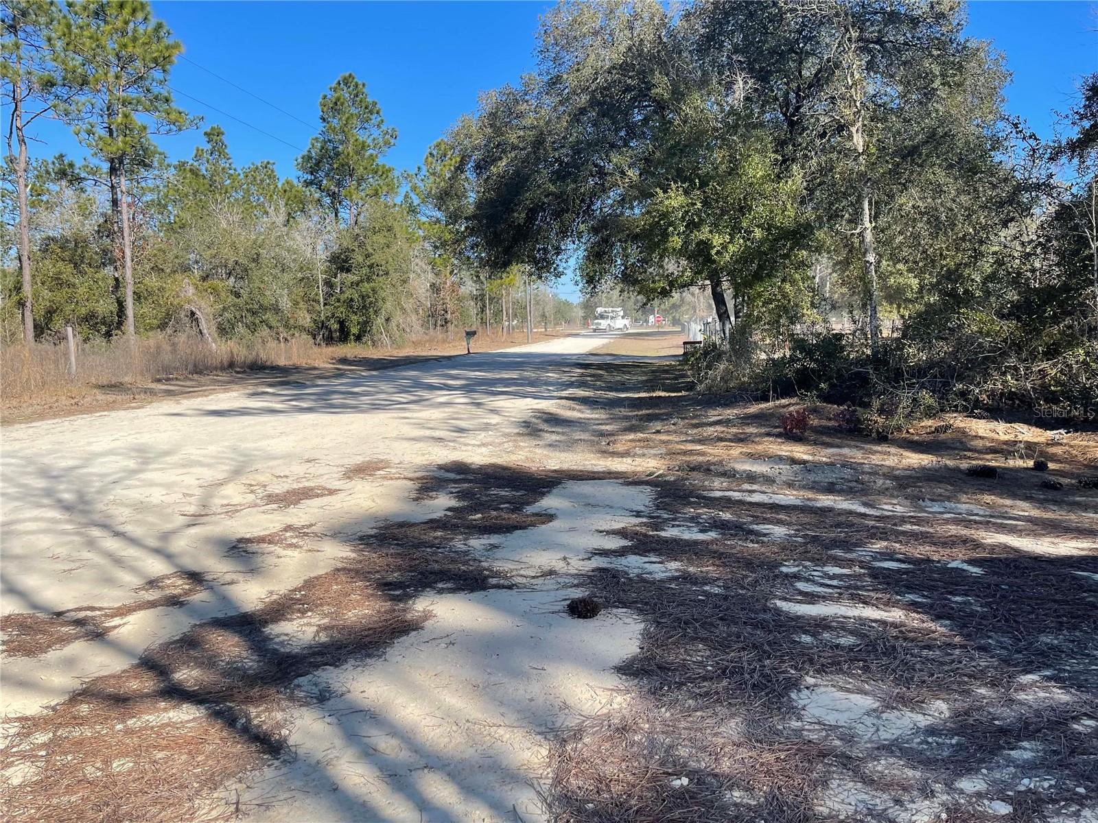 2671 SE 133RD TER, MORRISTON, FL, 32668