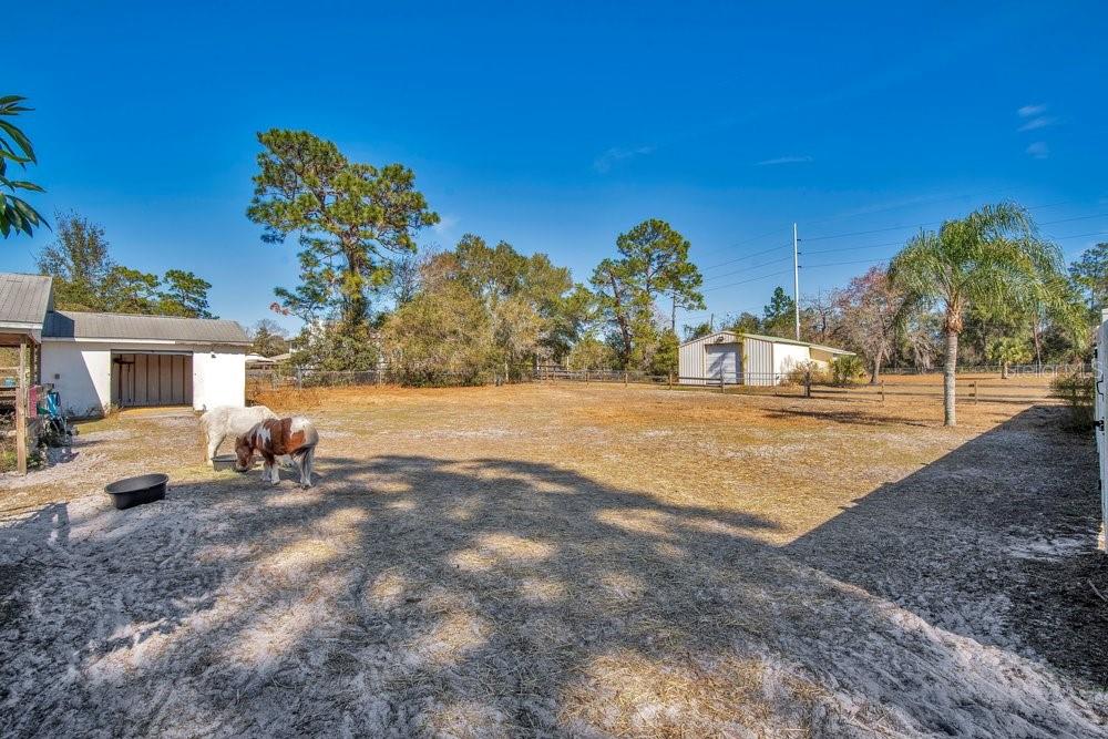 3160 SIXMA RD, LAKE HELEN, FL, 32744