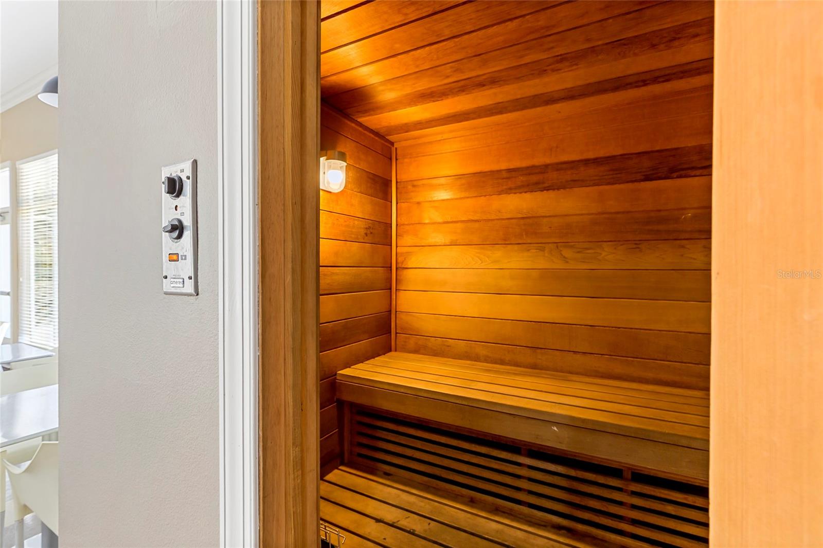 5125 PALM SPRINGS BLVD #11208, TAMPA, FL, 33647