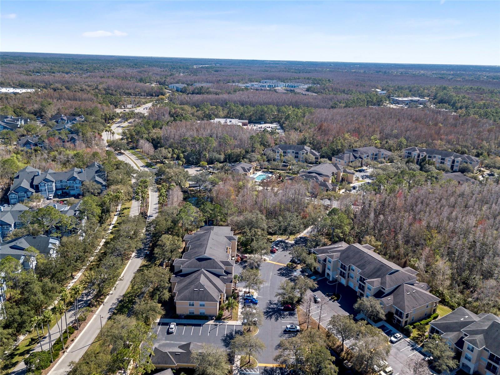 5125 PALM SPRINGS BLVD #11208, TAMPA, FL, 33647