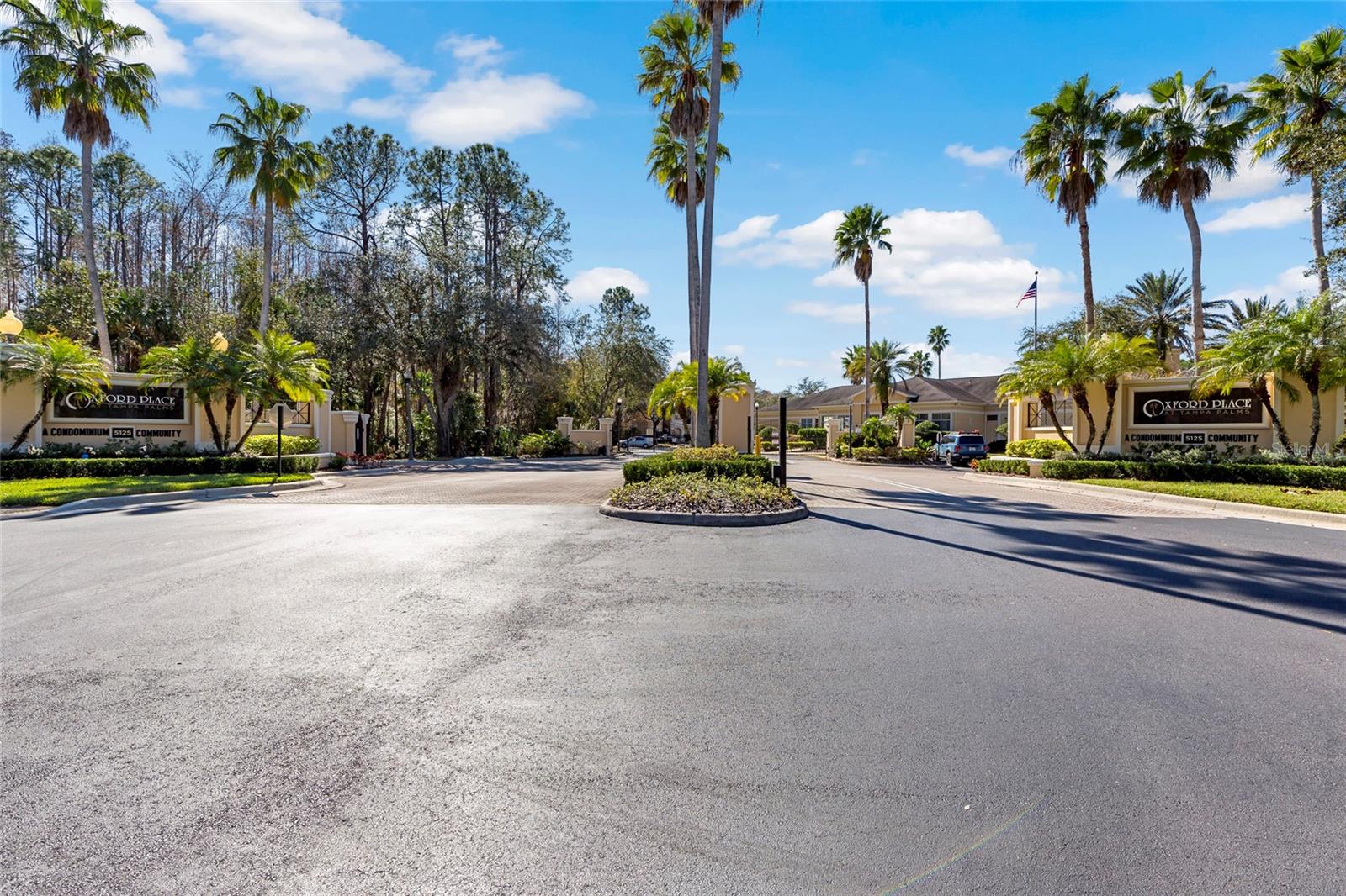 5125 PALM SPRINGS BLVD #11208, TAMPA, FL, 33647