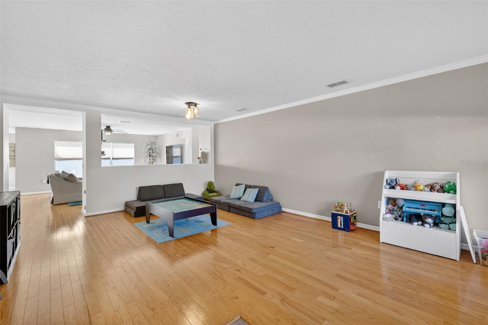 224 BLACK SPRINGS LN, WINTER GARDEN, FL, 34787