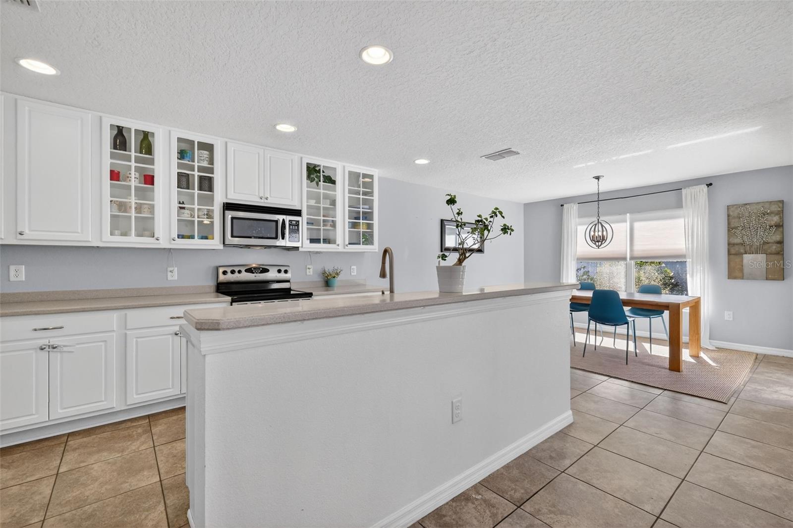 224 BLACK SPRINGS LN, WINTER GARDEN, FL, 34787