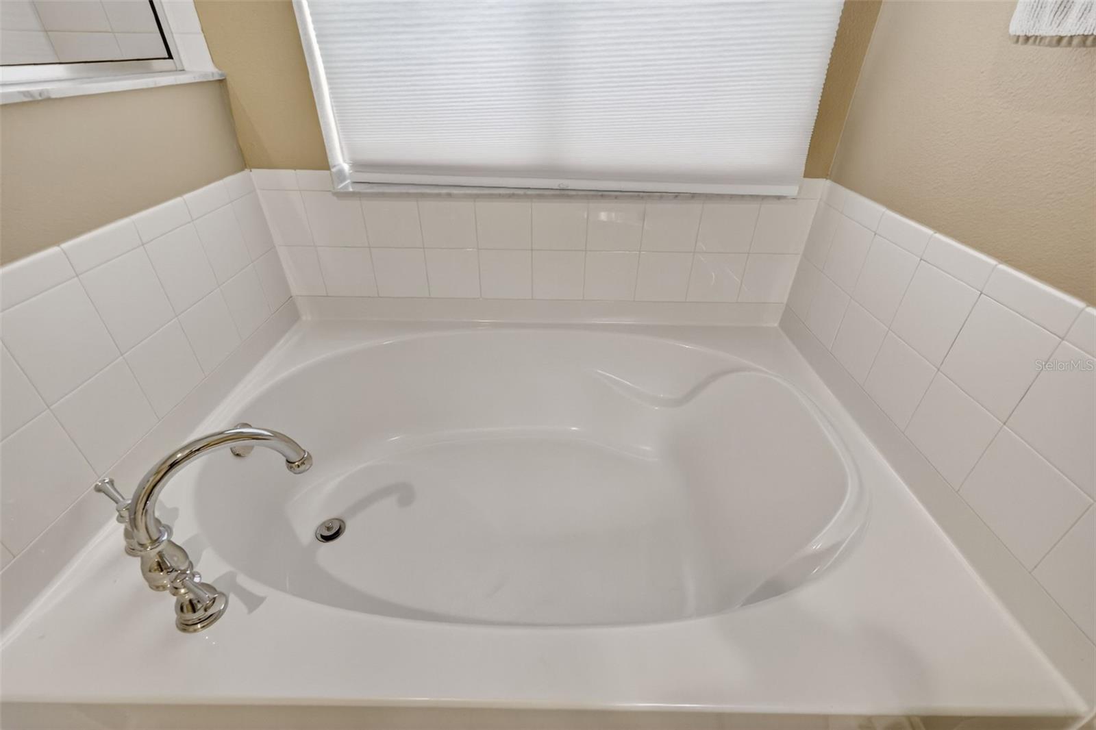 224 BLACK SPRINGS LN, WINTER GARDEN, FL, 34787