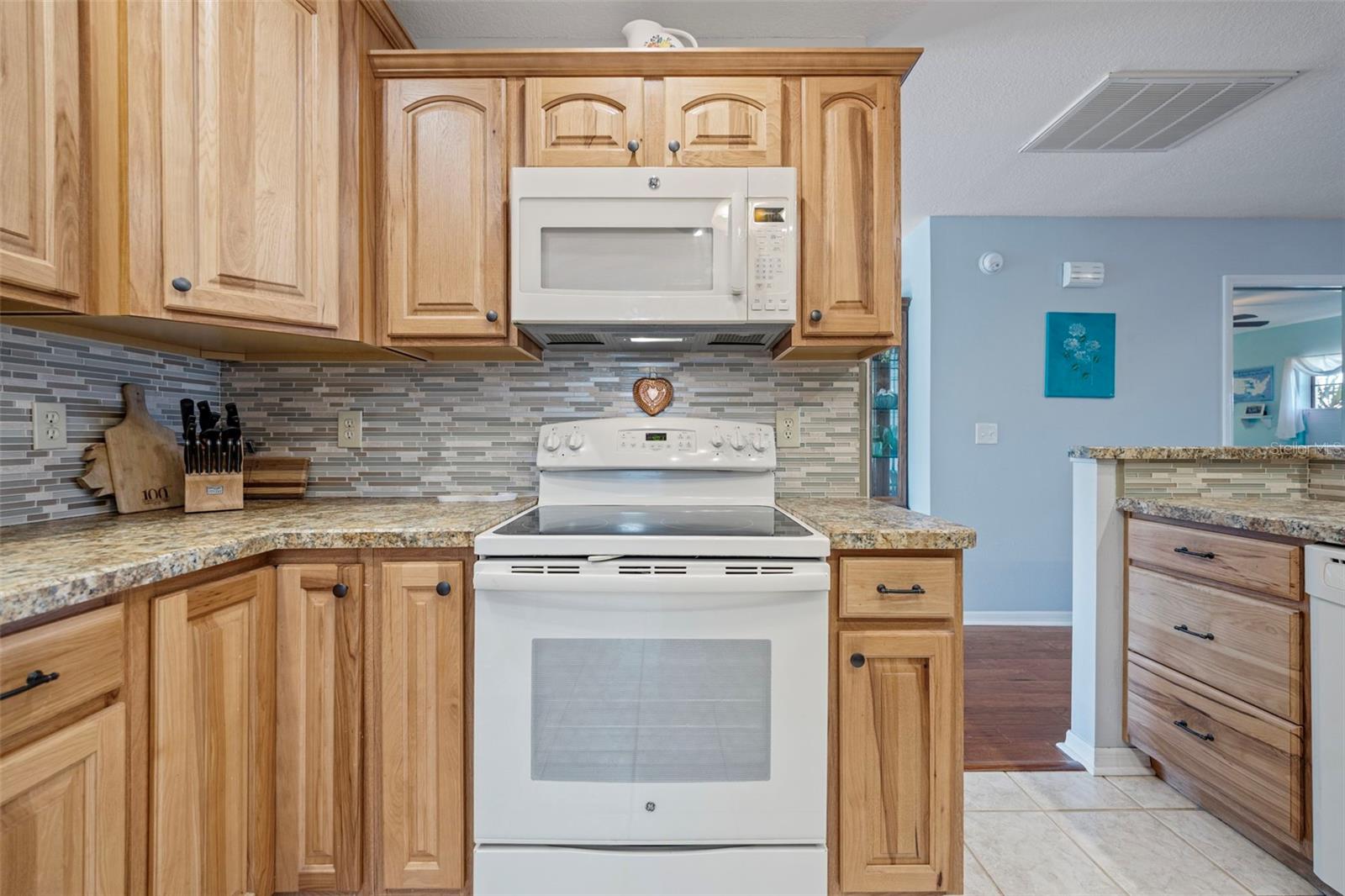 1207 BLUEWATER DR, SUN CITY CENTER, FL, 33573