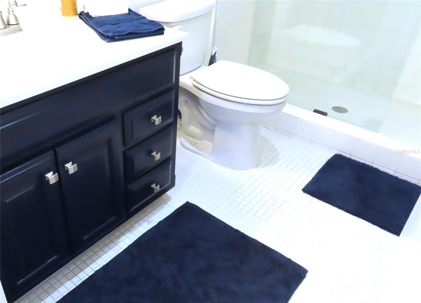 2221 SWEDISH DR #17, CLEARWATER, FL, 33763