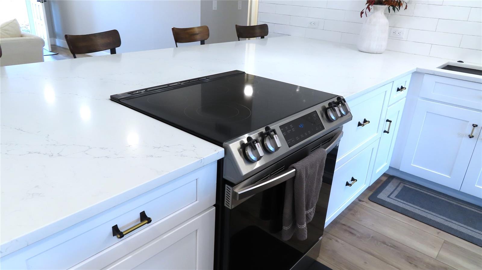 2221 SWEDISH DR #17, CLEARWATER, FL, 33763