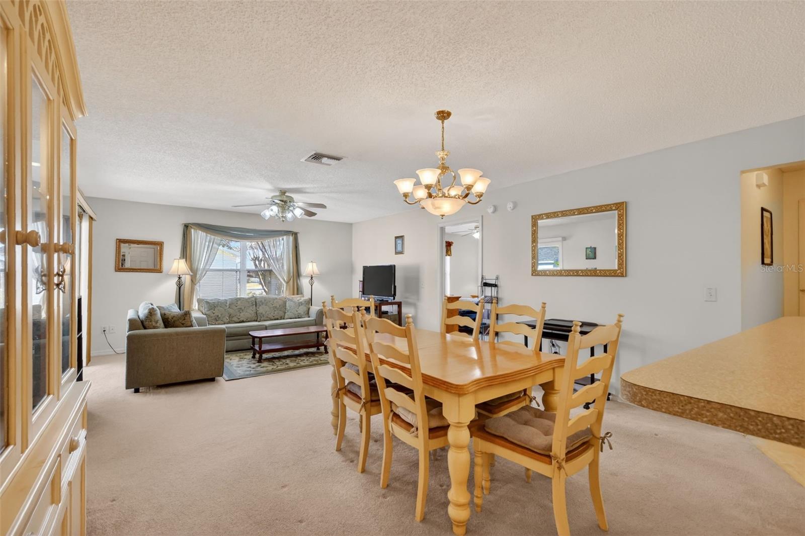 974 LIVINGSTON LOOP, THE VILLAGES, FL, 32162