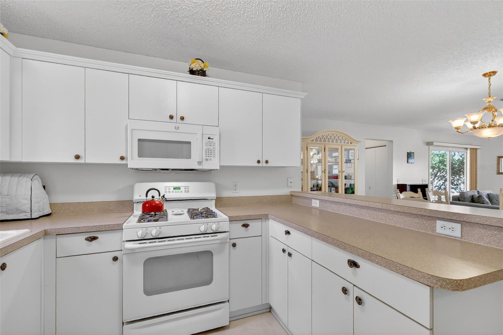 974 LIVINGSTON LOOP, THE VILLAGES, FL, 32162