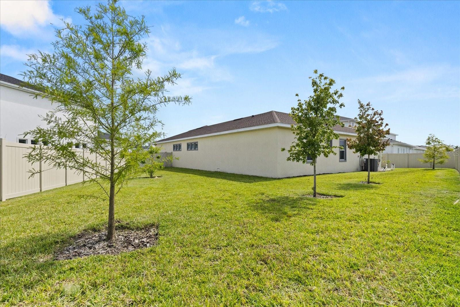 8297 IVY STARK BLVD, WESLEY CHAPEL, FL, 33545