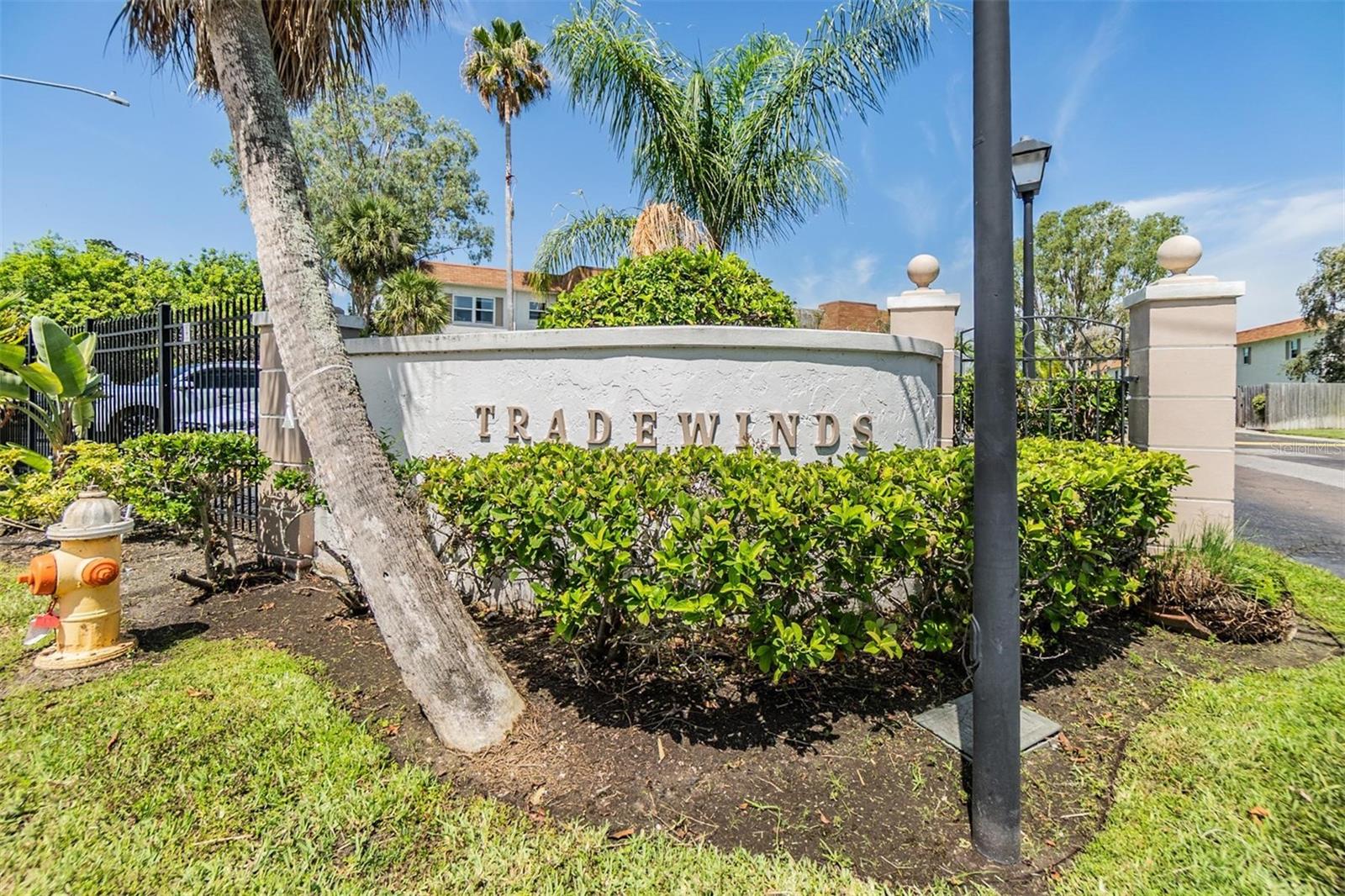 233 S MCMULLEN BOOTH RD #43, CLEARWATER, FL, 33759