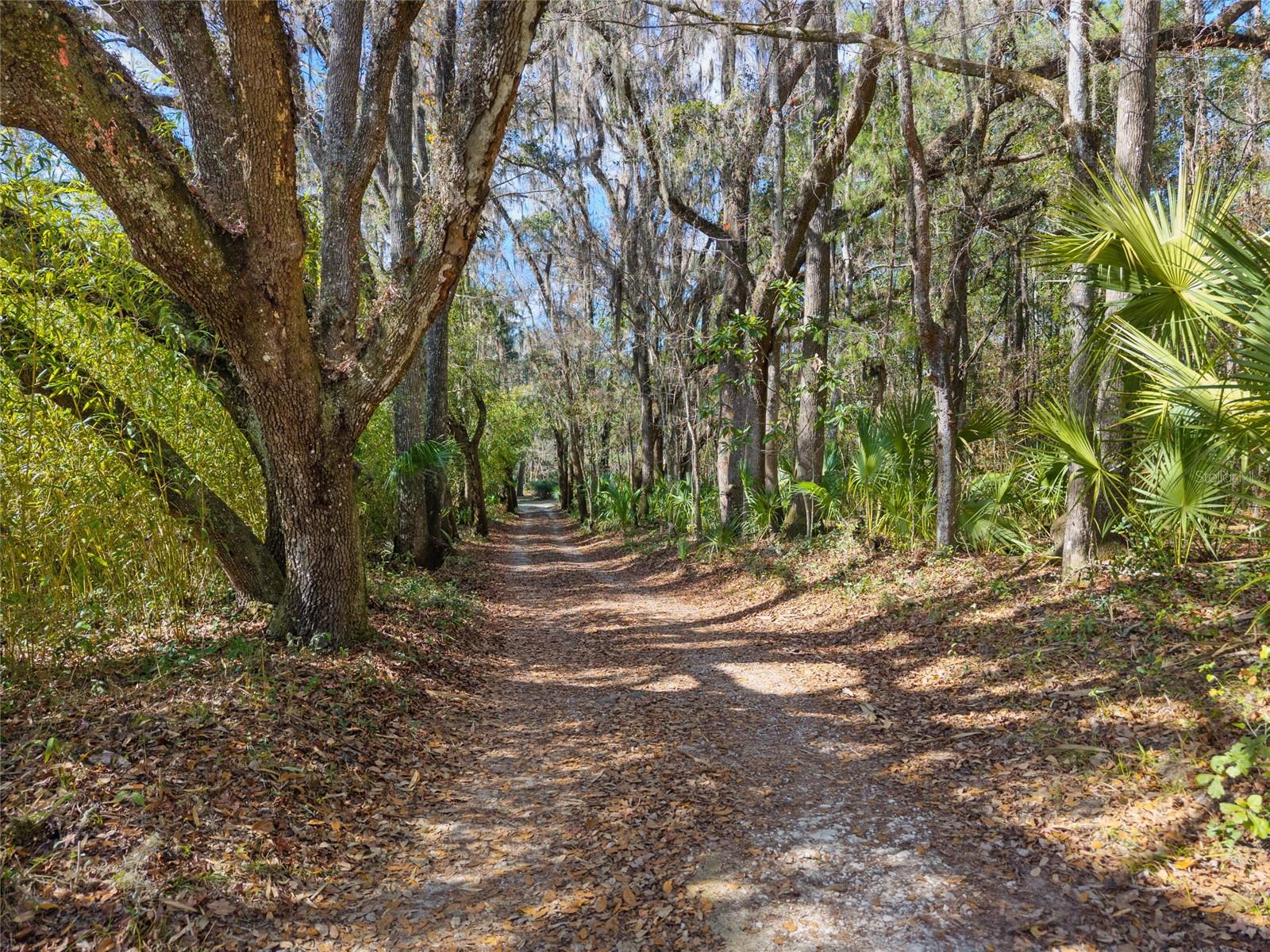 21736 NW 75TH AVENUE RD, MICANOPY, FL, 32667