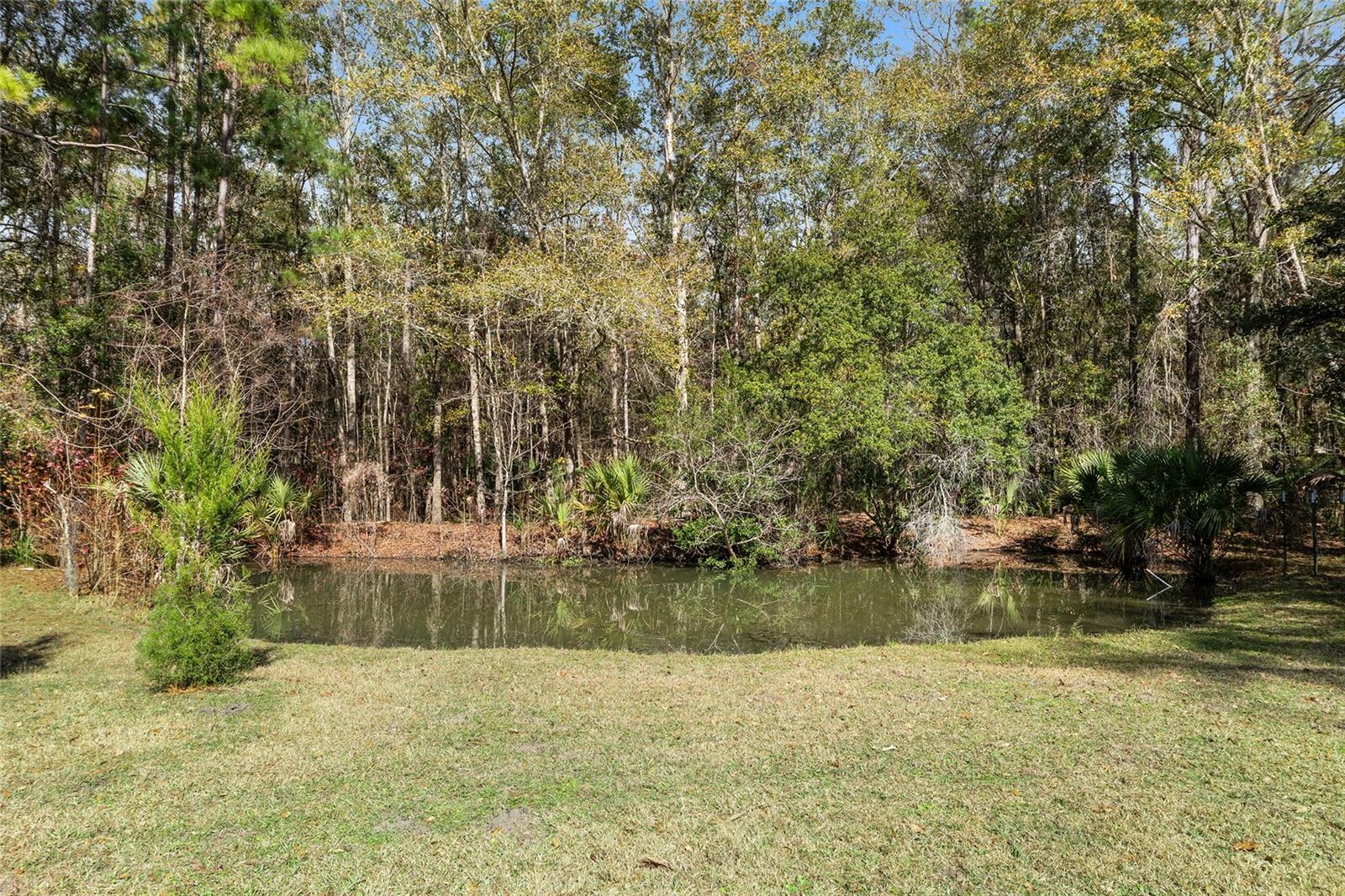 21736 NW 75TH AVENUE RD, MICANOPY, FL, 32667