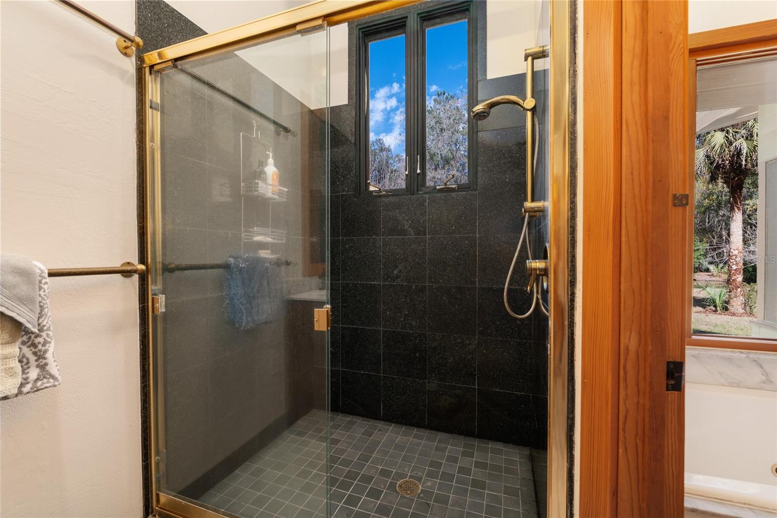 21736 NW 75TH AVENUE RD, MICANOPY, FL, 32667