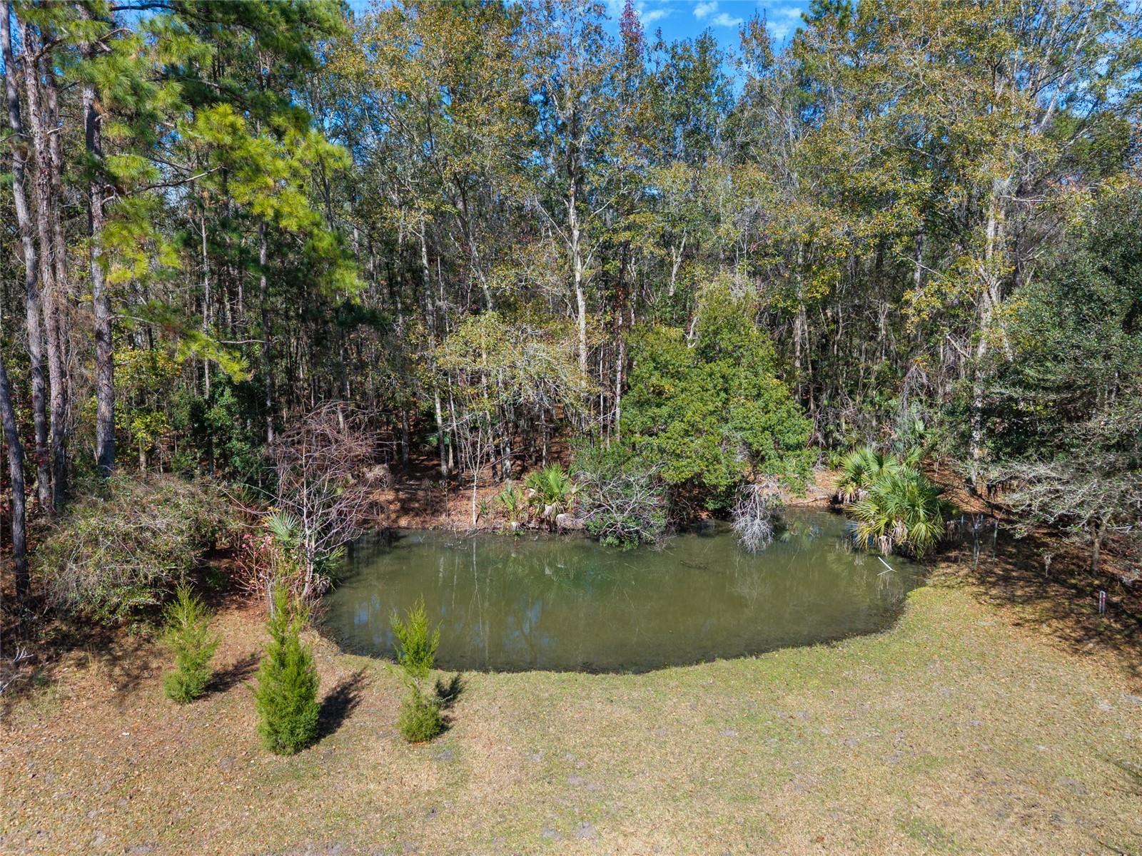21736 NW 75TH AVENUE RD, MICANOPY, FL, 32667