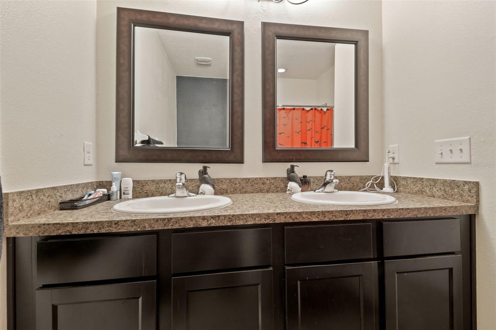 10104 HAWK STORM AVE, TAMPA, FL, 33610