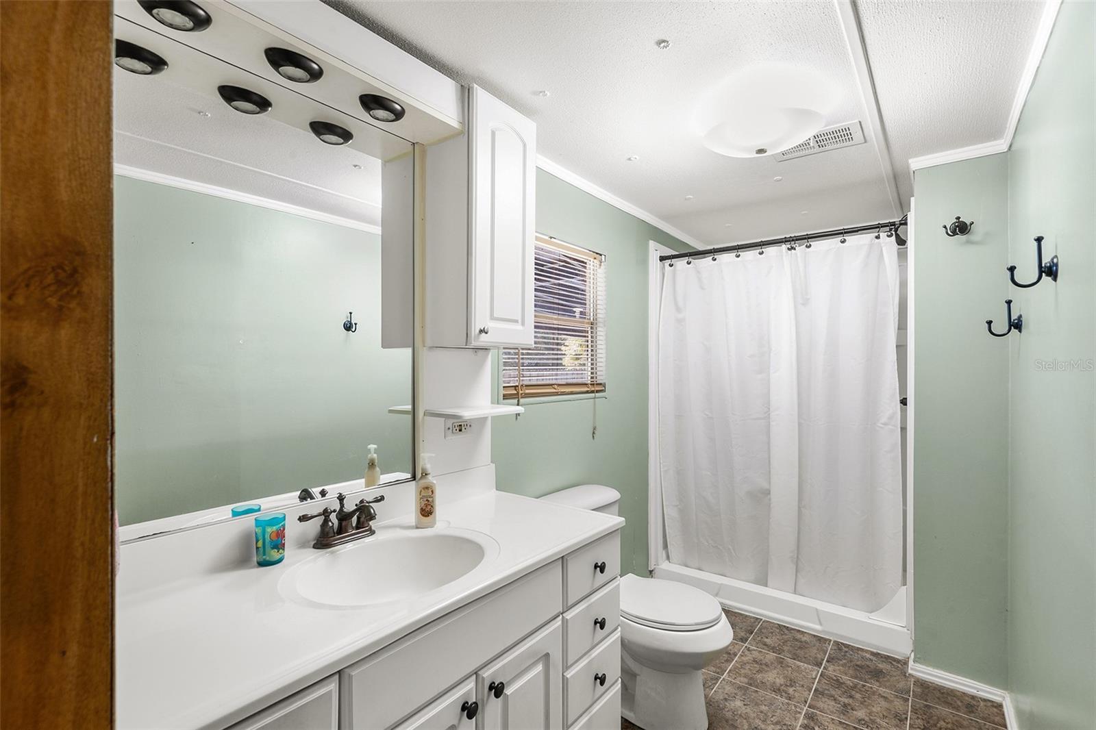 16819 SUGAR BERRY LN, MONTVERDE, FL, 34756