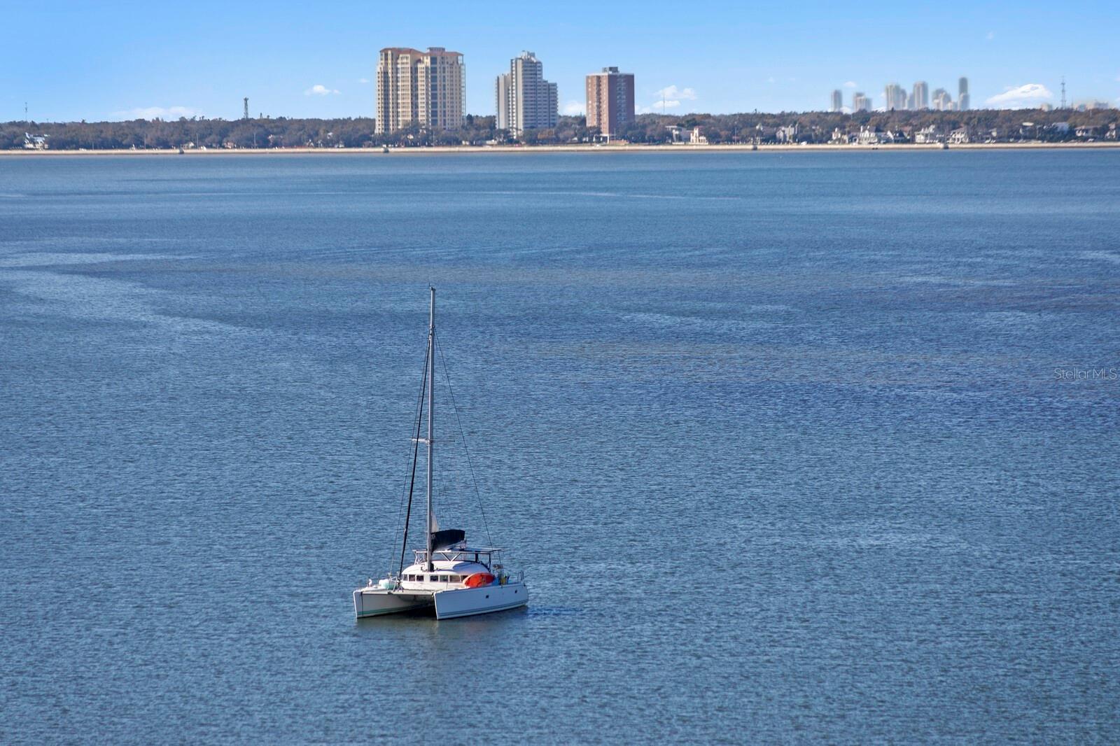 2 ADALIA AVE #1002, TAMPA, FL, 33606