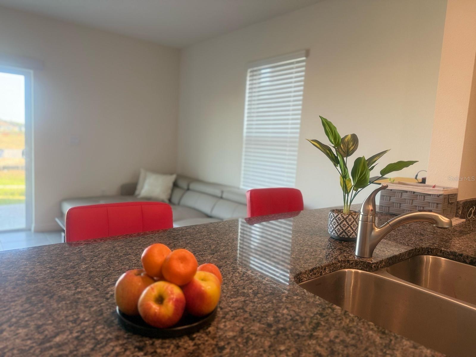 1727 WOODEN ST, DAVENPORT, FL, 33837