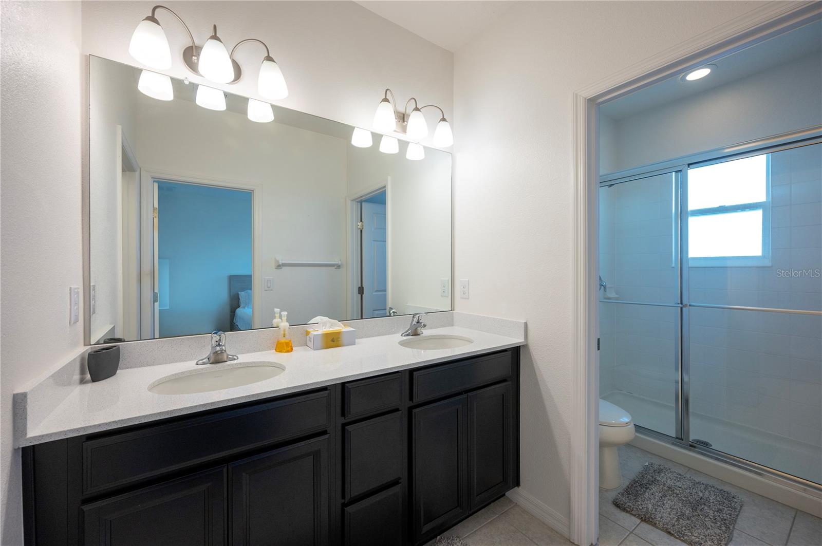 6256 CAMINO DR, APOLLO BEACH, FL, 33572