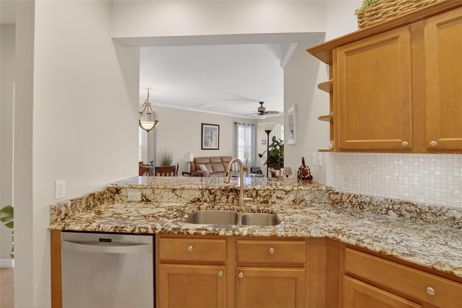 220 SHELL FALLS DR, APOLLO BEACH, FL, 33572