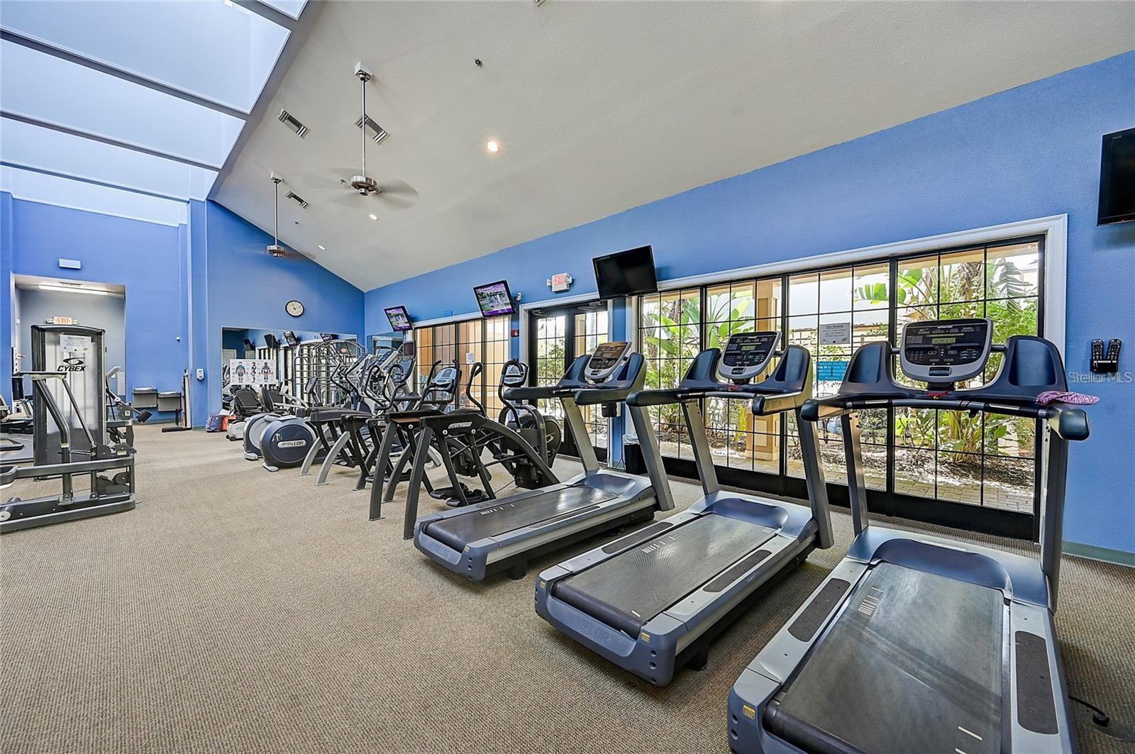 220 SHELL FALLS DR, APOLLO BEACH, FL, 33572