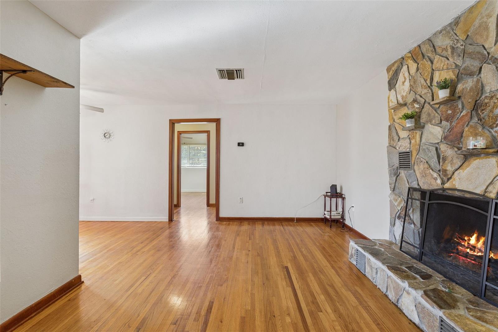 500 E GOTTSCHE AVE, EUSTIS, FL, 32726