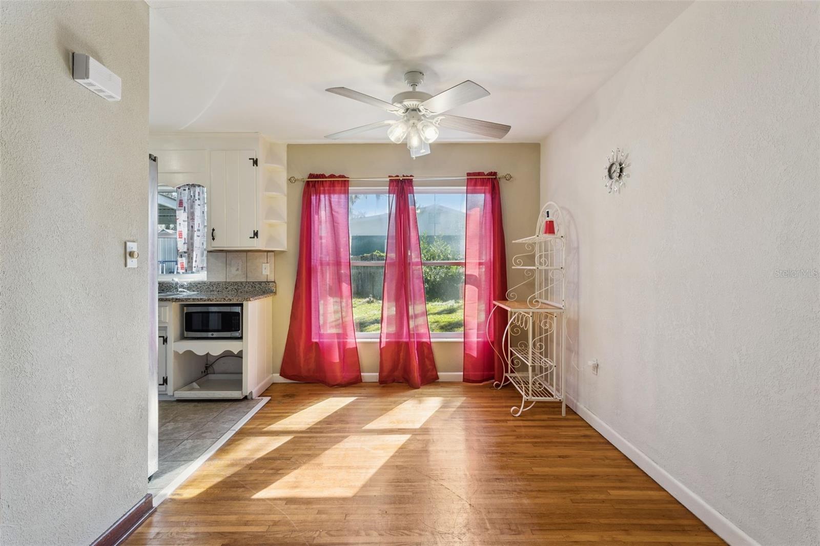 500 E GOTTSCHE AVE, EUSTIS, FL, 32726