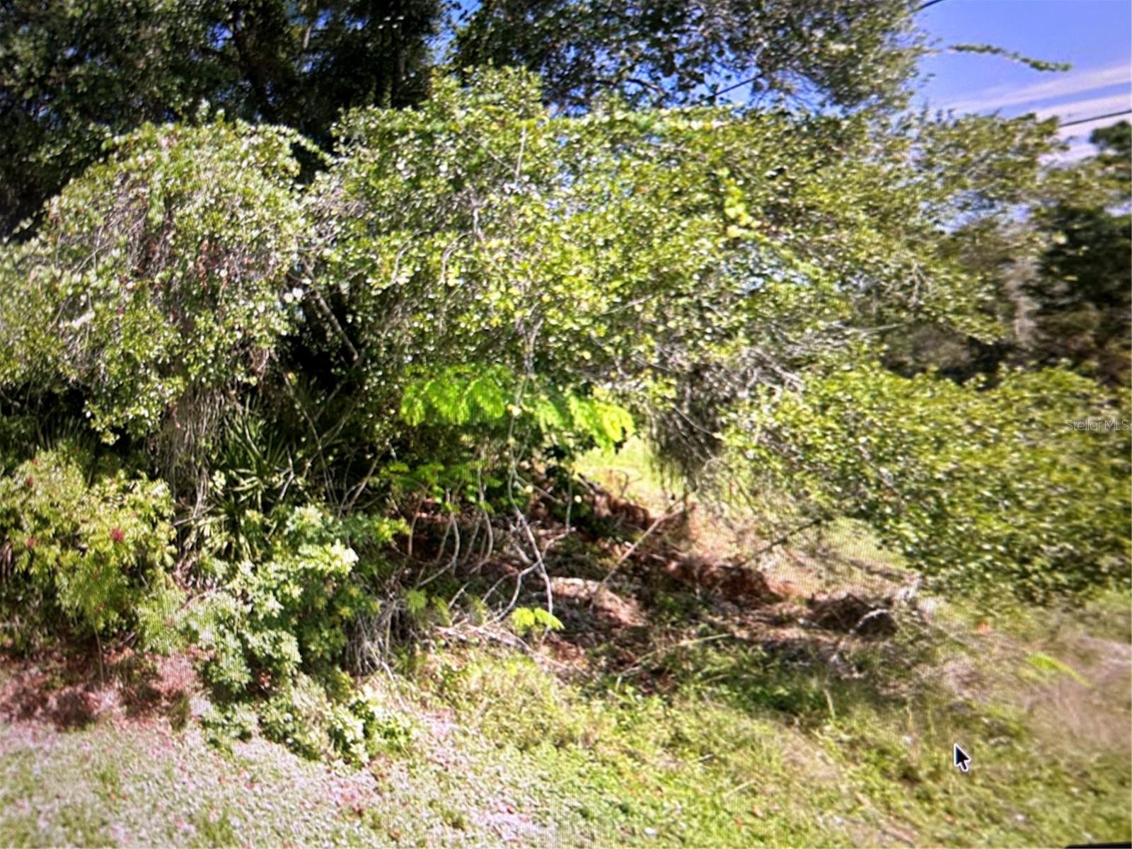 1697 WANETA ST, PALM BAY, FL, 32909