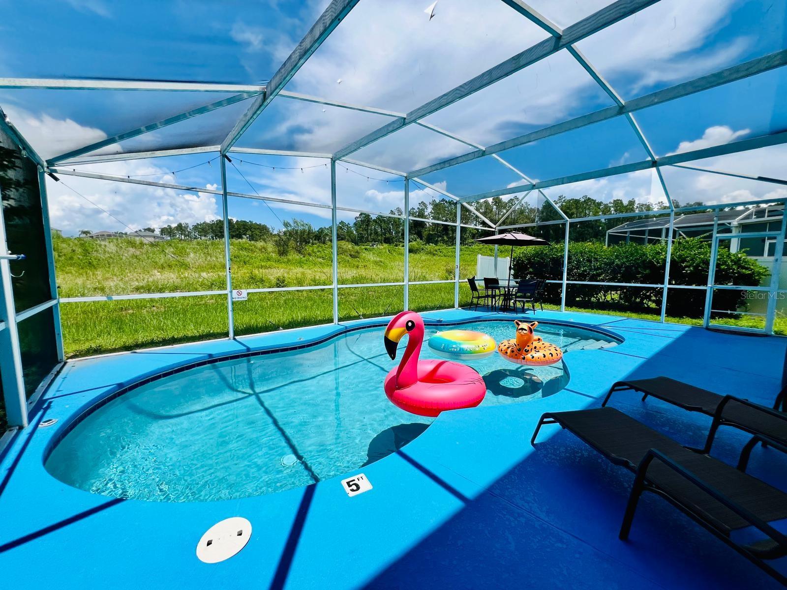 254 GLENEAGLES DR, DAVENPORT, FL, 33897