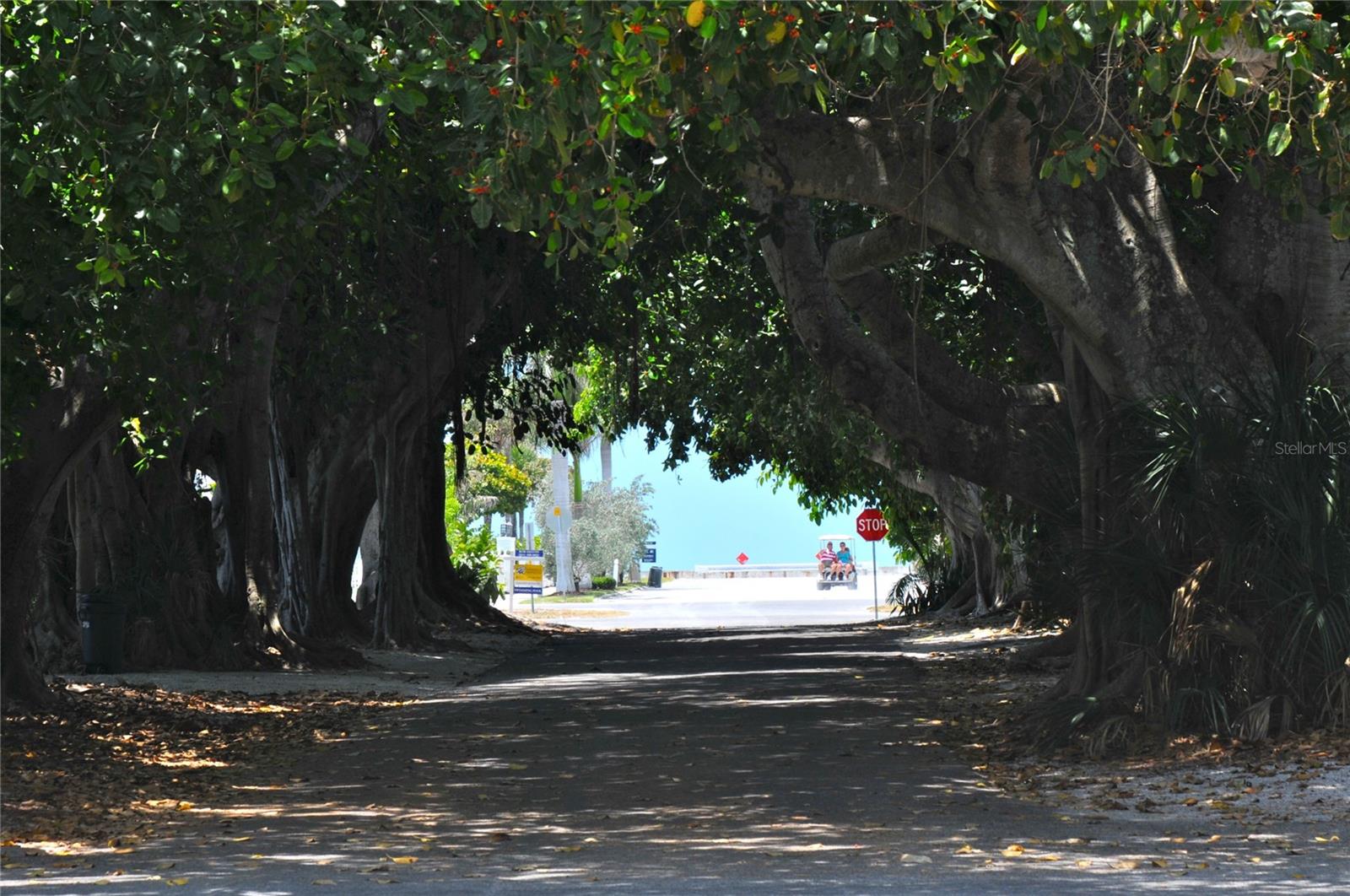 D6145898 Property Photo